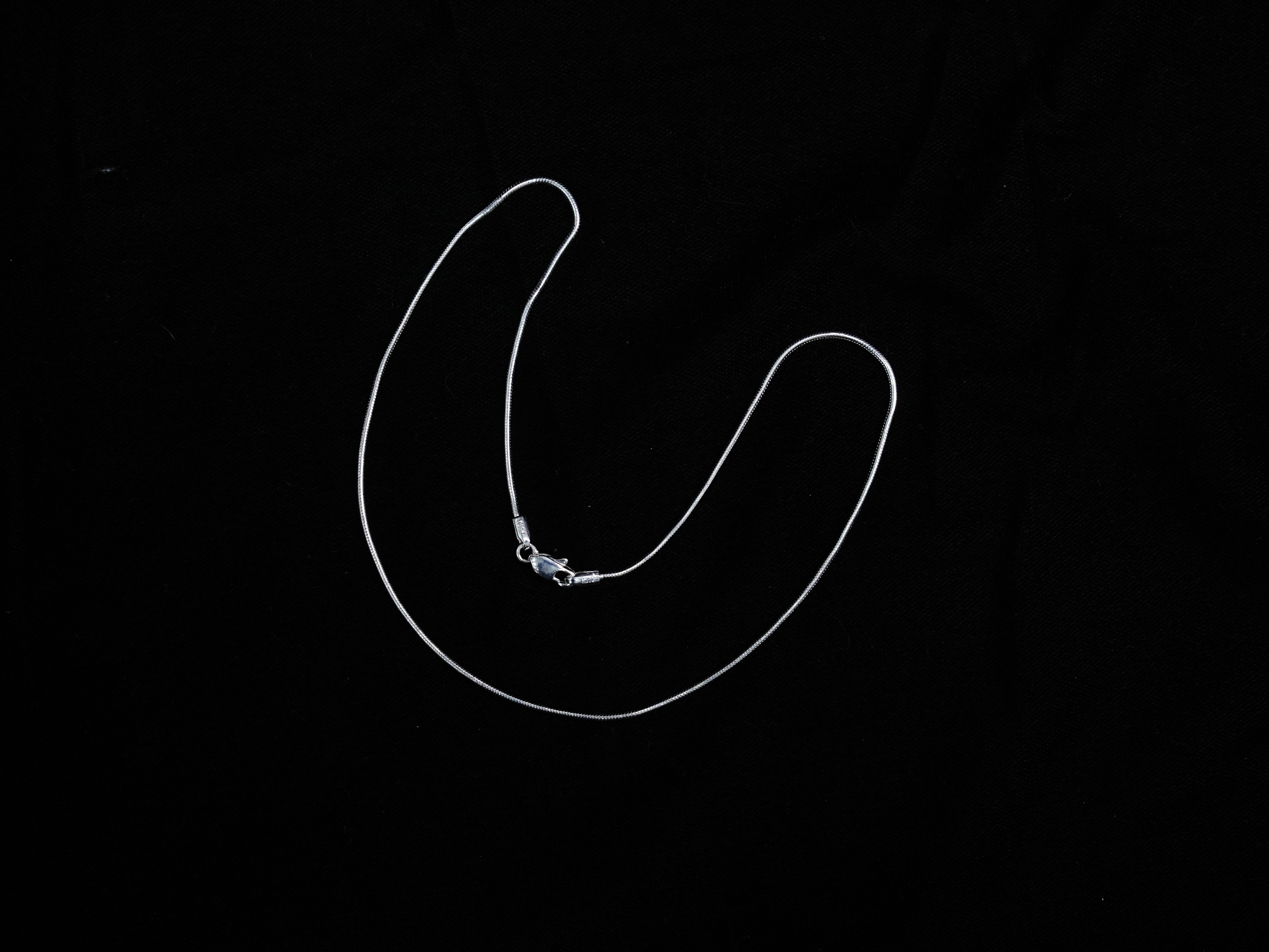 Finely Crafted Snake Chain